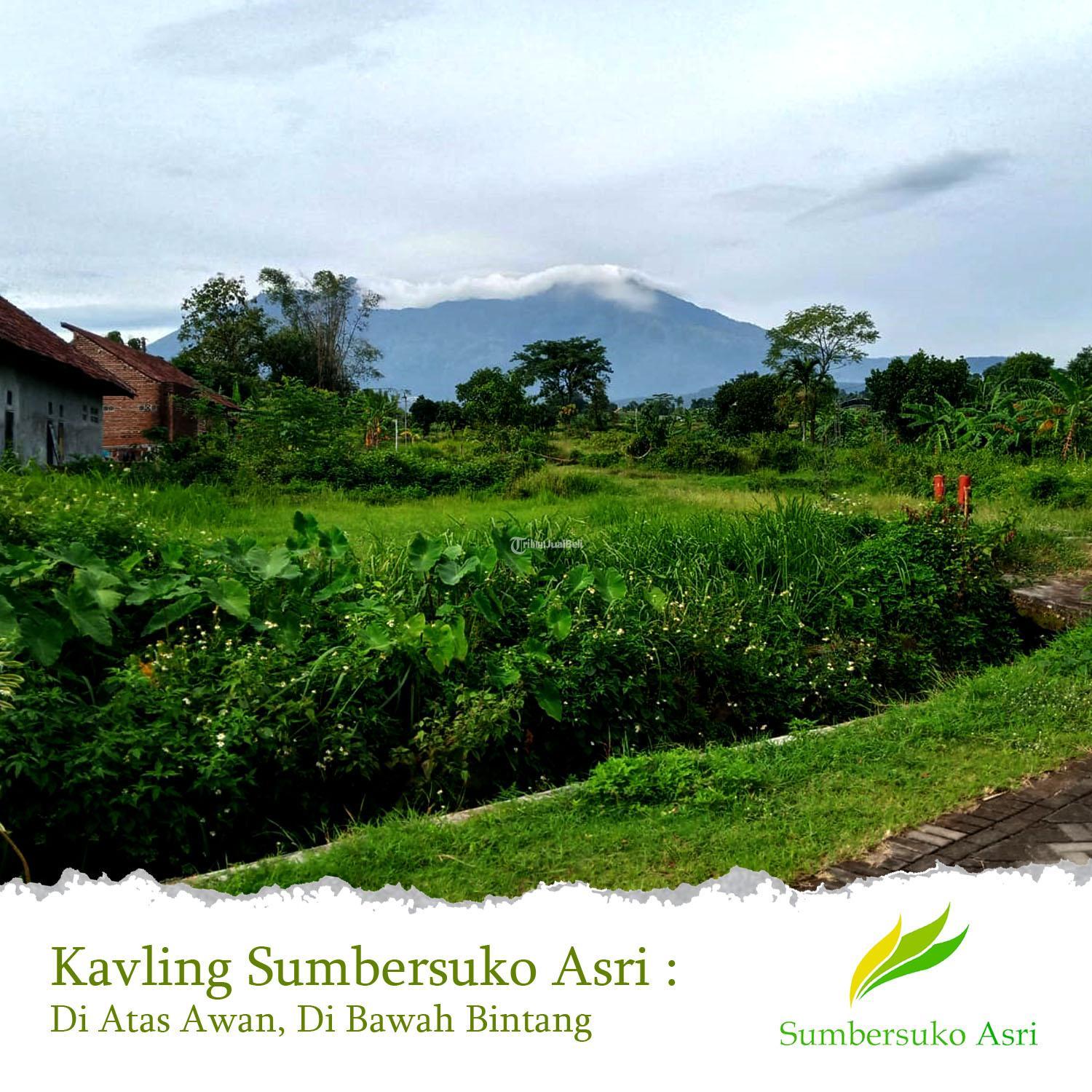 Tanah Kavling Villa Sumbersuko Asri Di Atas Awan Di Bawah Bintang