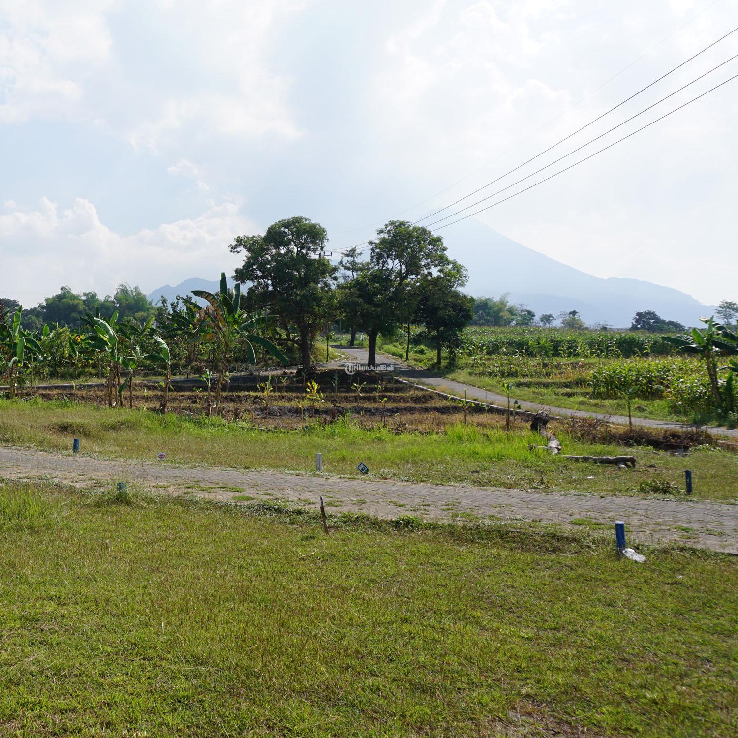Tanah Kavling Villa Sumbersuko Asri Di Atas Awan Di Bawah Bintang