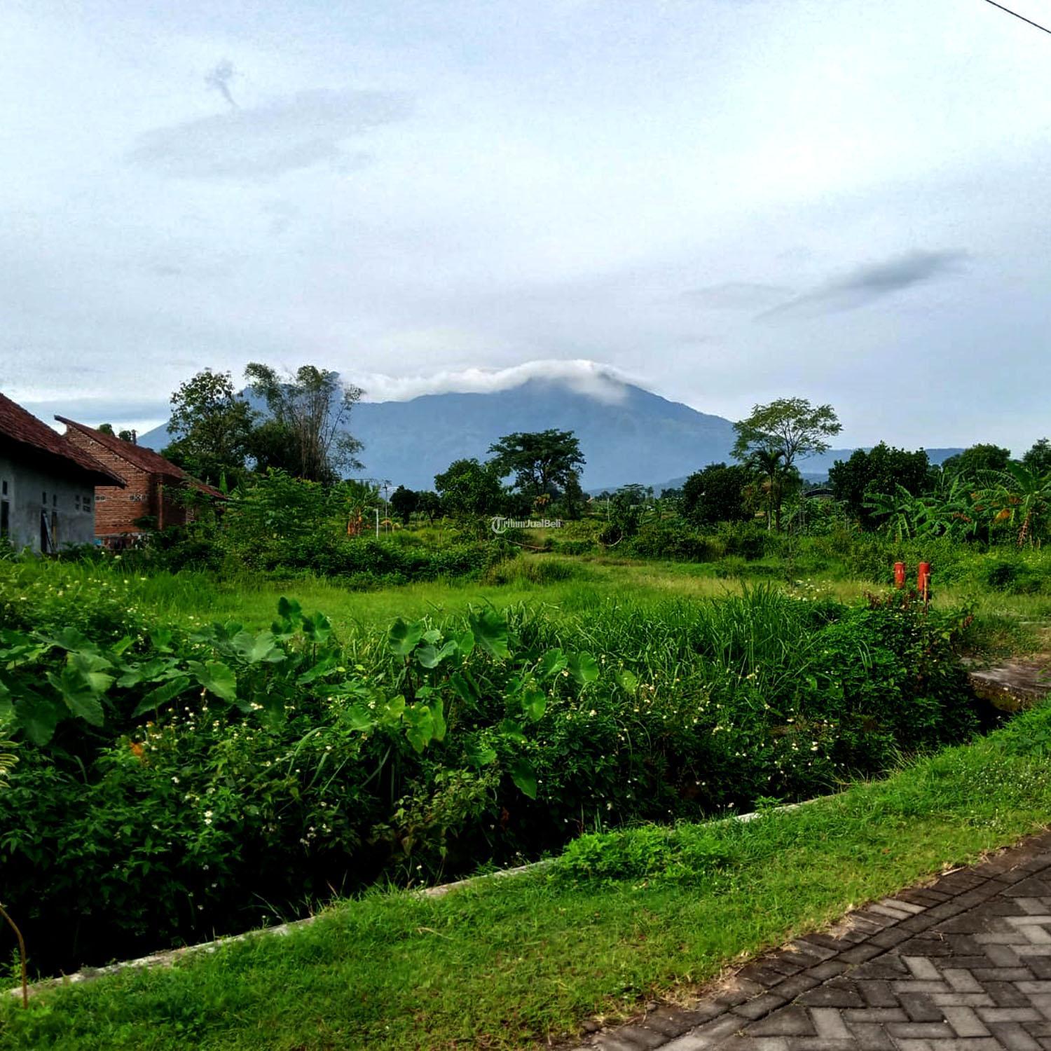 Tanah Kavling Villa Sumbersuko Asri Di Atas Awan Di Bawah Bintang