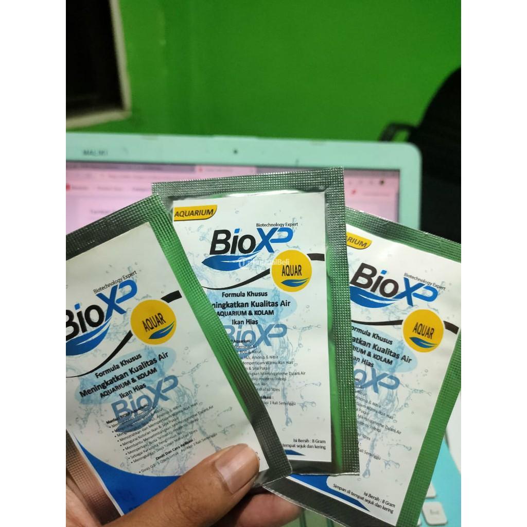 Bio Xp Aquar aquarium