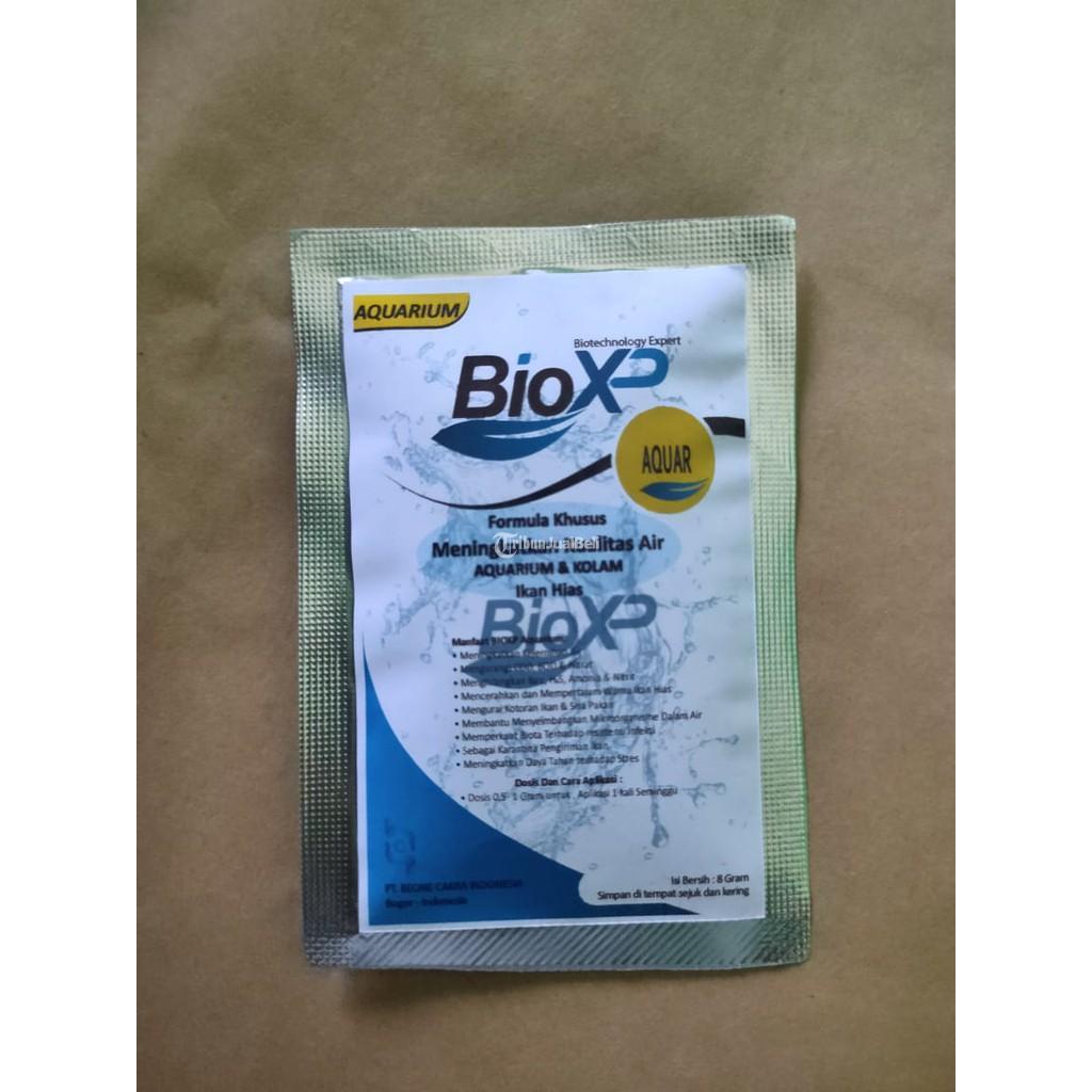 Bio Xp Aquar aquarium
