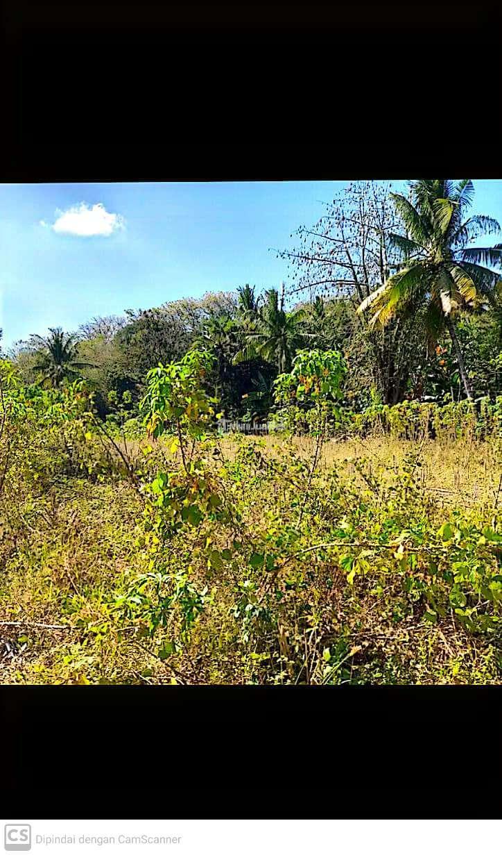 Tanah 4 Kavling masing2 kavling Ukuran 15 x 20 meter Maumere Flores NTT