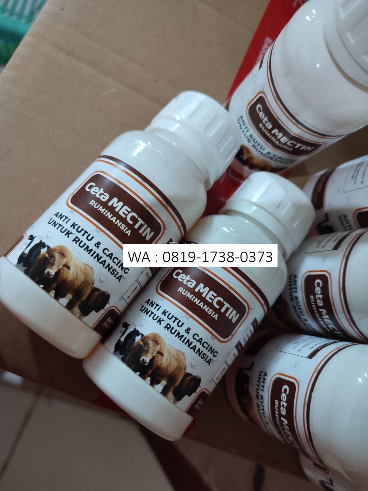 Obat Untuk Menghilangkan Kutu Kambing Di Bandung Tribun Jualbeli