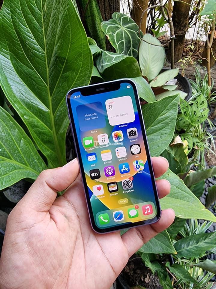 HP iPhone 12 Mini 128GB Ex iBox Mulus Siap Pakai Yogyakarta - Tribun