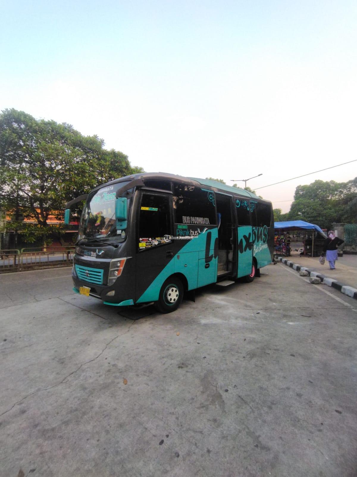 Bus Pariwisata Medium Murah