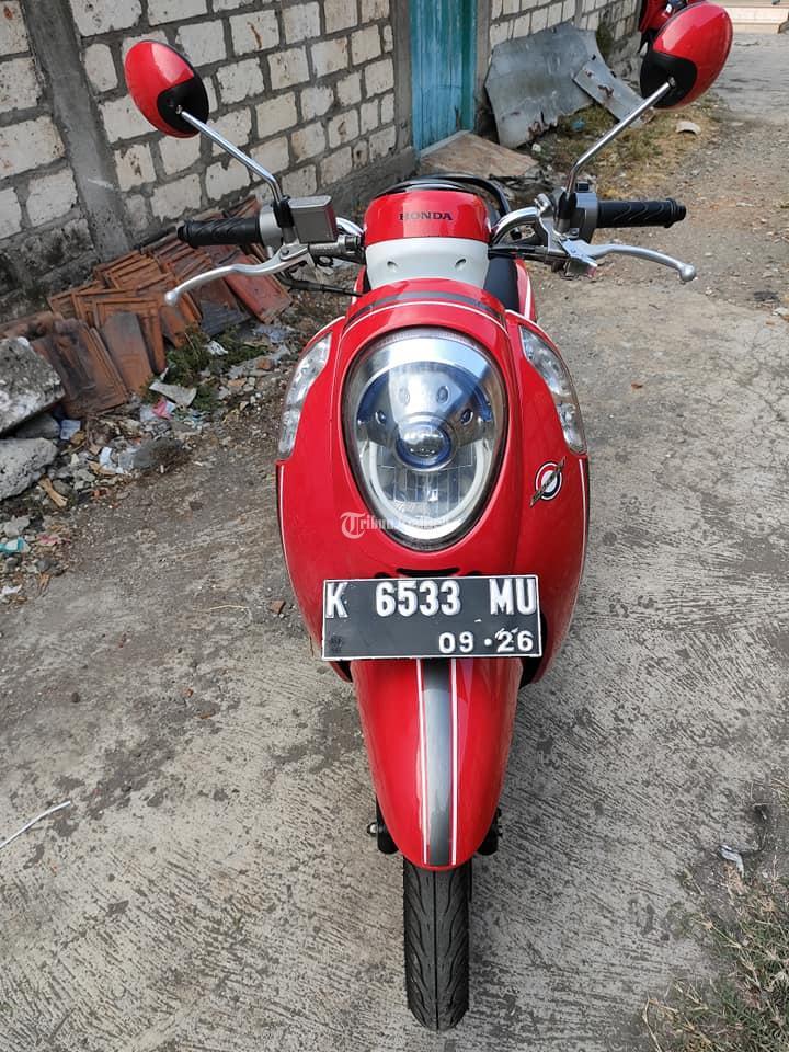 Motor Honda Scoopy Bekas Tahun 2016 Warna Merah Siap Pakai Pajak Baru  Pati