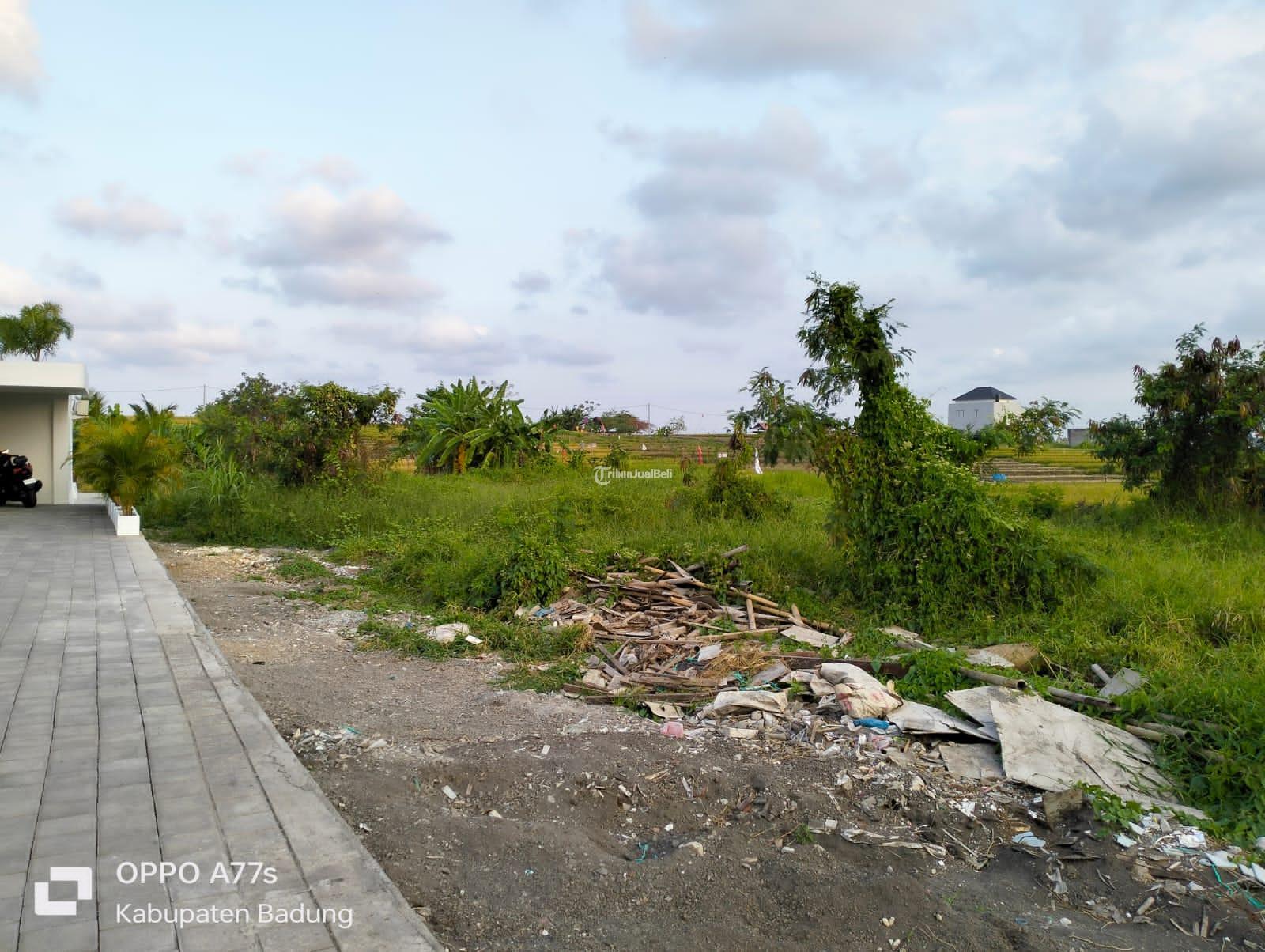 Tanah kavling diPadonan Canggu Berawa Badung Bali