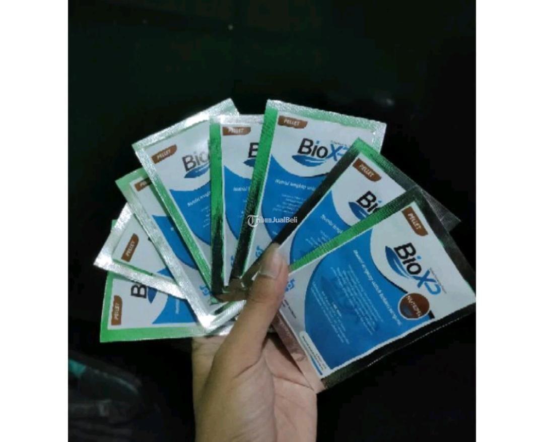 Nutrisi Bakteri 081230040533