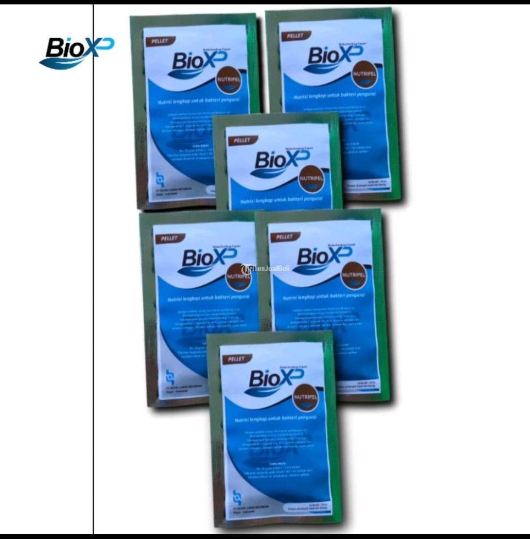 Nutrisi Bakteri 081230040533