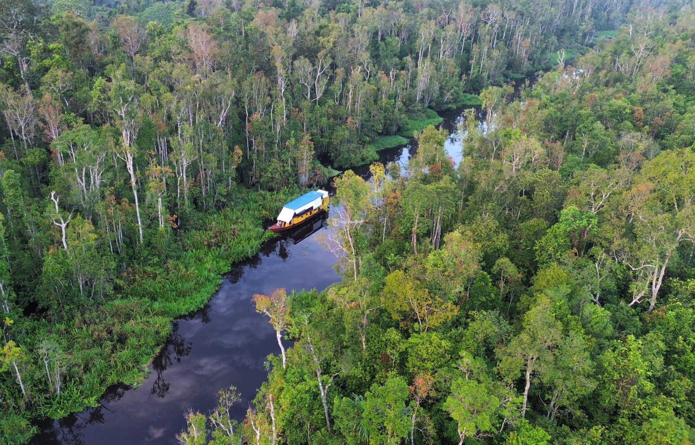 Wisata Alam Tanjung Puting Kalimantan tengah 3 Hari 2 Malam