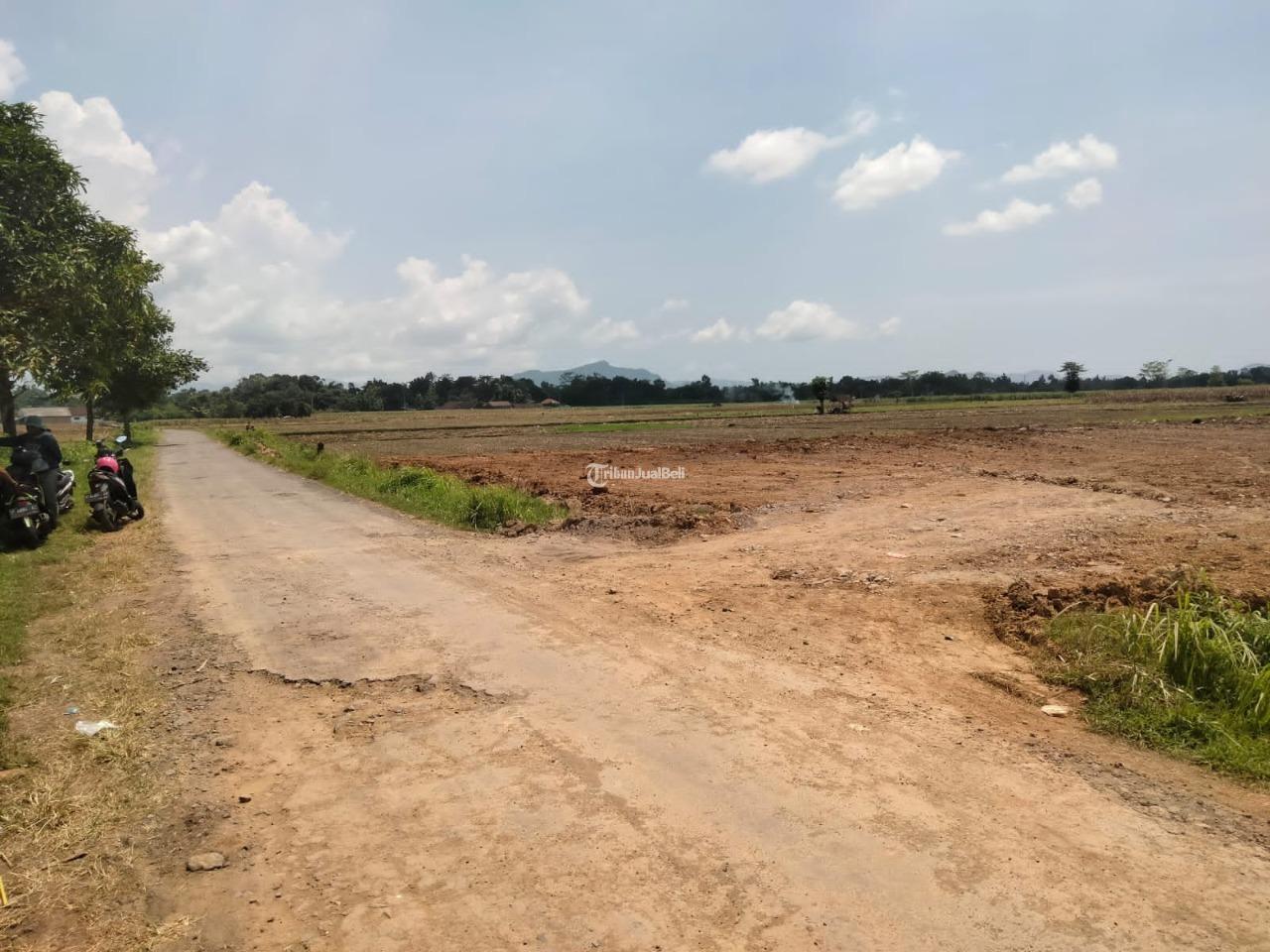 TANAH DI WONOJATI JENGGAWAH MURAH BISA DICICIL