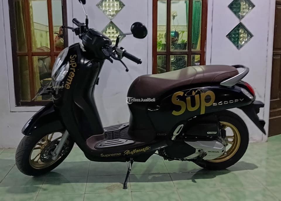 Motor Honda Scoopy Bekas Tahun 2021 Siap Pakai Surat Lengkap Harga Nego ...