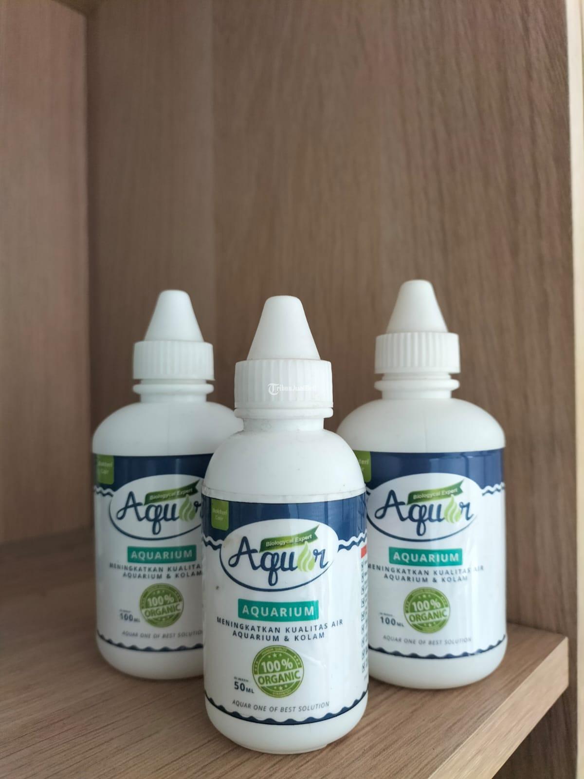 Bakteri Aquarium081230040533