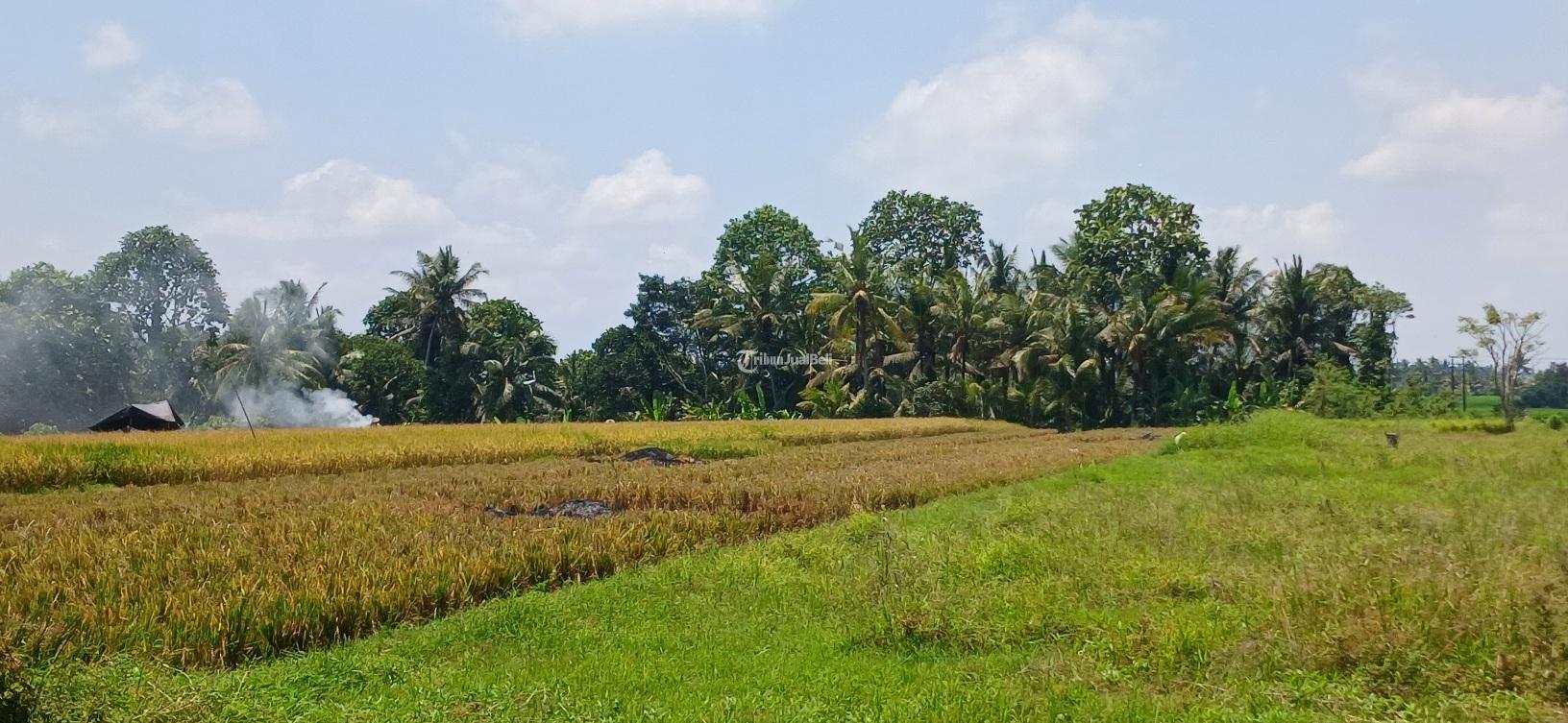 Tanah 2560 m2 Kaba  Kaba Nyambu Tabanan Bali