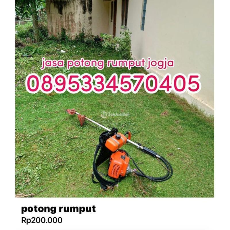 Jasa buang barang apa saja dan jasa potong rumput jogja