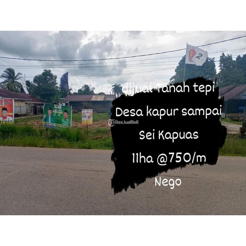 Dijual Tanah Tepi Jalan Desa Kapur Sampai Sungai Di Kubu Raya Kalimantan Barat Tribun Jualbeli