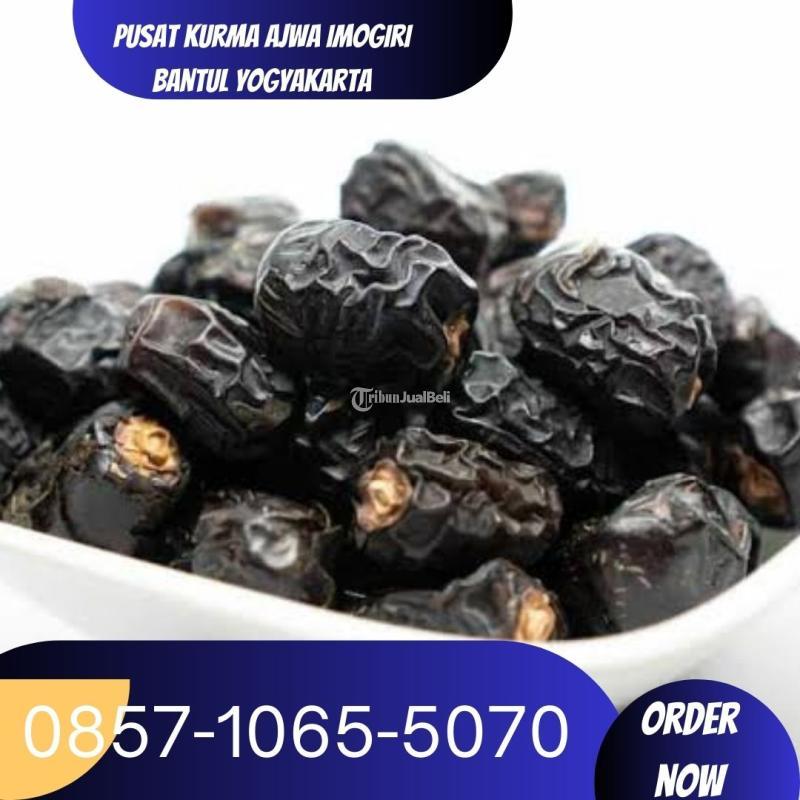 Pusat kurma ajwa Imogiri Bantul Yogyakarta