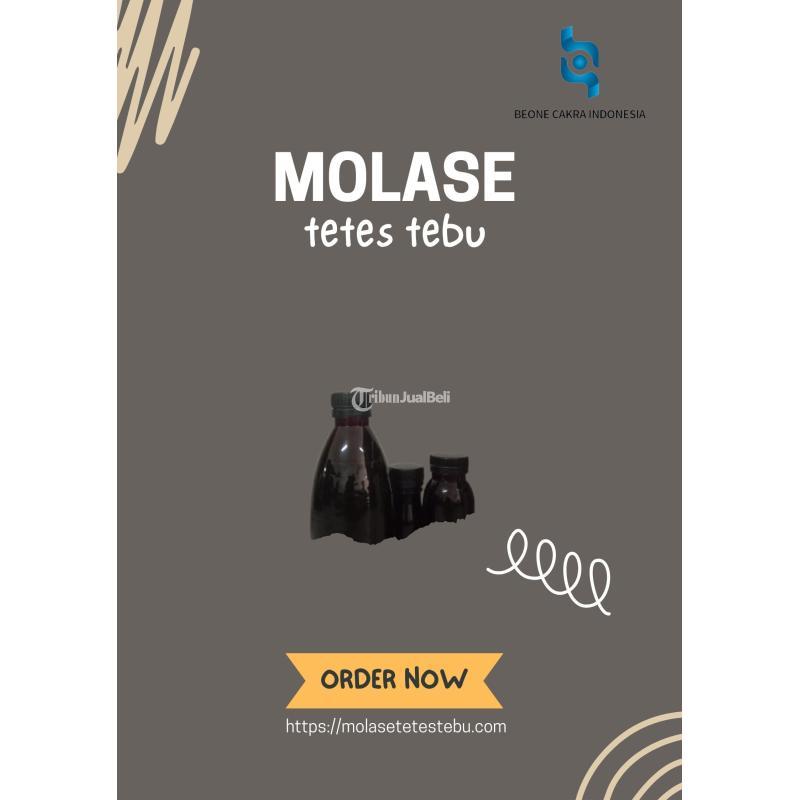 Promo khusus untuk bukan januari Molase Tetes Tebu PT BIONE CAKRA INDONESIA