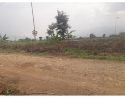 Tanah Di Rancaekek Cangkuang Rancakemit  Bandung