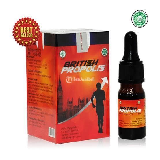 British Propolis Reguler