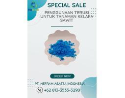 Special Sale Penggunaan Terusi Untuk Tanaman Kelapa Sawit 081335353290