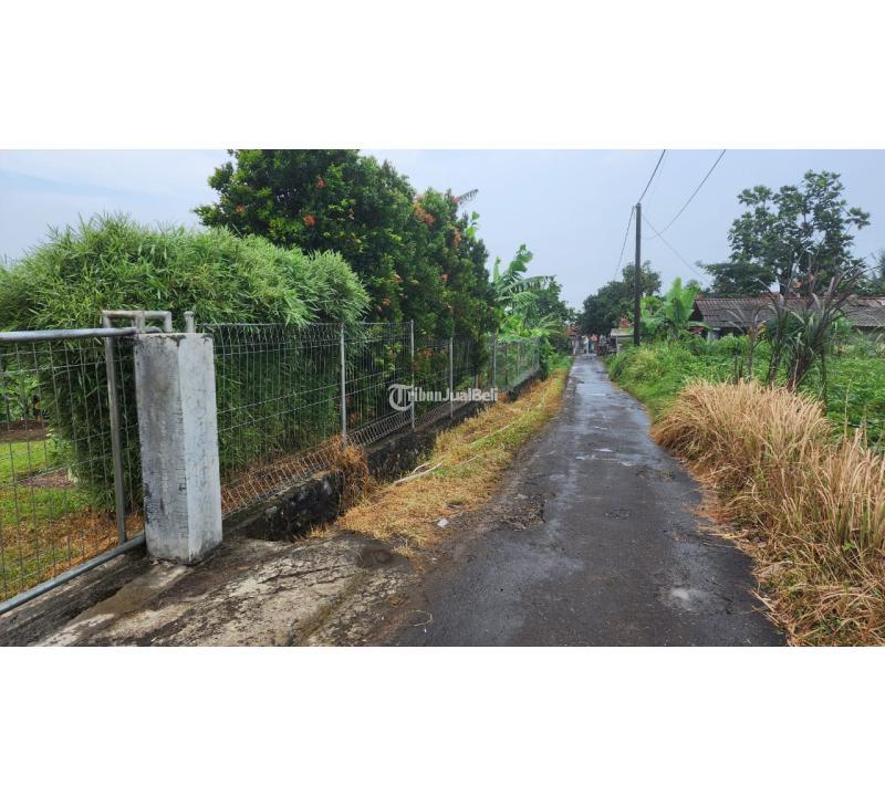 Rumah Kebun View Gunung Salak di Sukaharja Ciomas Bogor