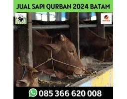Hewan Qurban 2024 Open Order Mulai Januari di Batam Sapi Rahayu