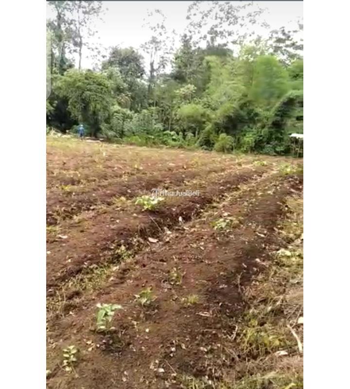 DiJual Cepat Tanah di Desa Kidal, Tumpang