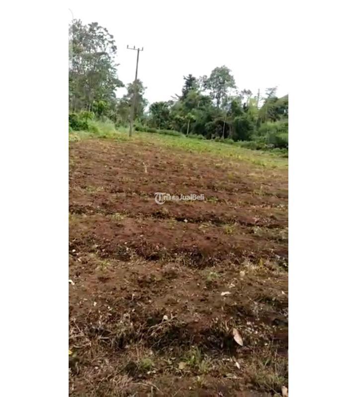 DiJual Cepat Tanah di Desa Kidal, Tumpang