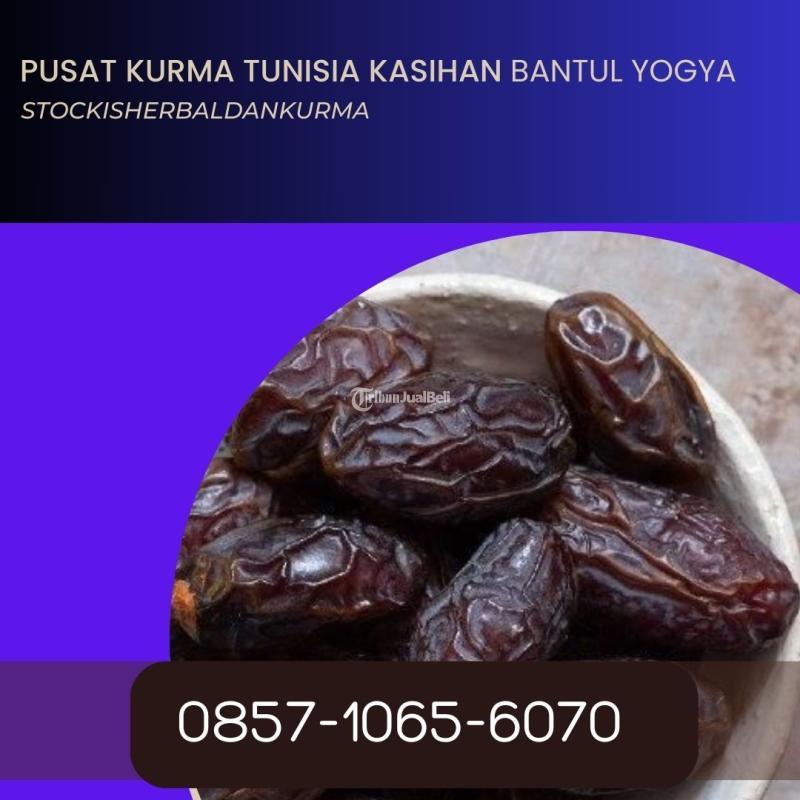 Pusat kurma medjoul kasihan Bantul Yogyakarta
