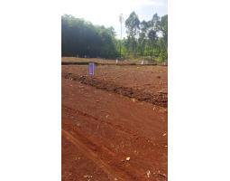 Tanah Kavling Murah Hanya 120 Jutaan di gunungpati