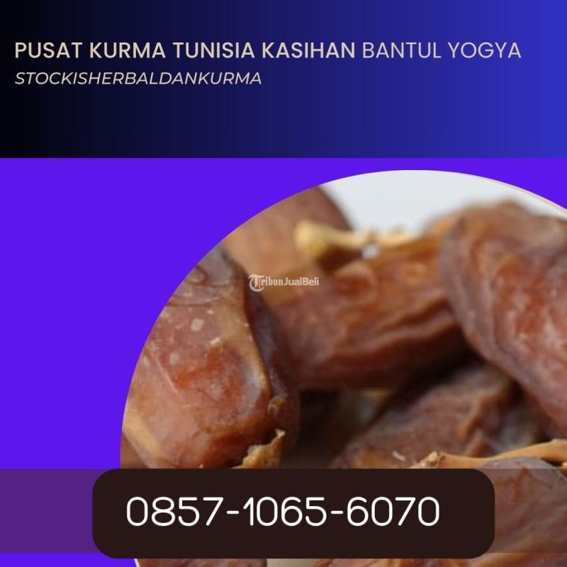 Pusat kurma tunisia kasihan Bantul Yogyakarta