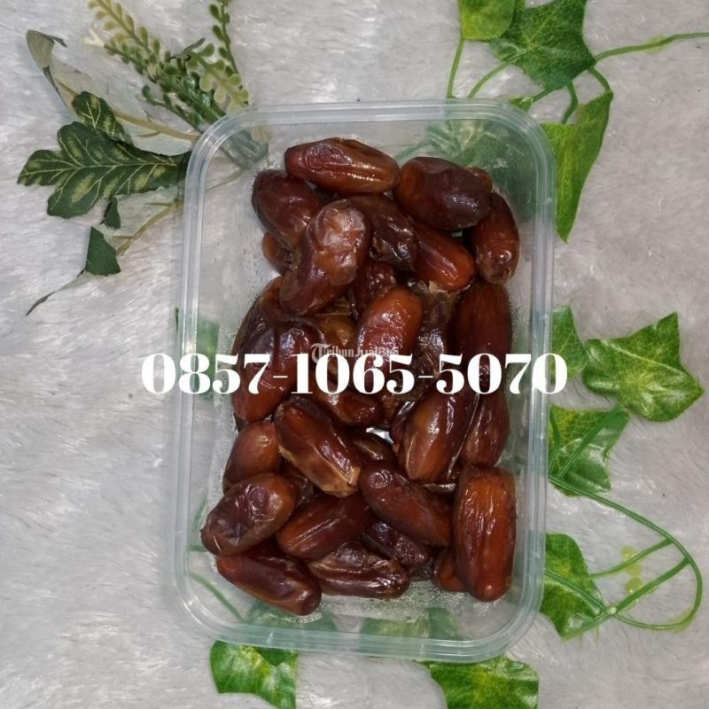 Pusat kurma tunisia kasihan Bantul Yogyakarta