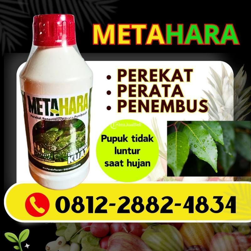 LEGALITAS KEMENTAN 0812-2882-4834, DISTRIBUTOR Perekat Perata Madiun, Perekat Perata Penembus Pestisida Terbaik Caruban, Perekat Perata Penembus Pestisida Magetan