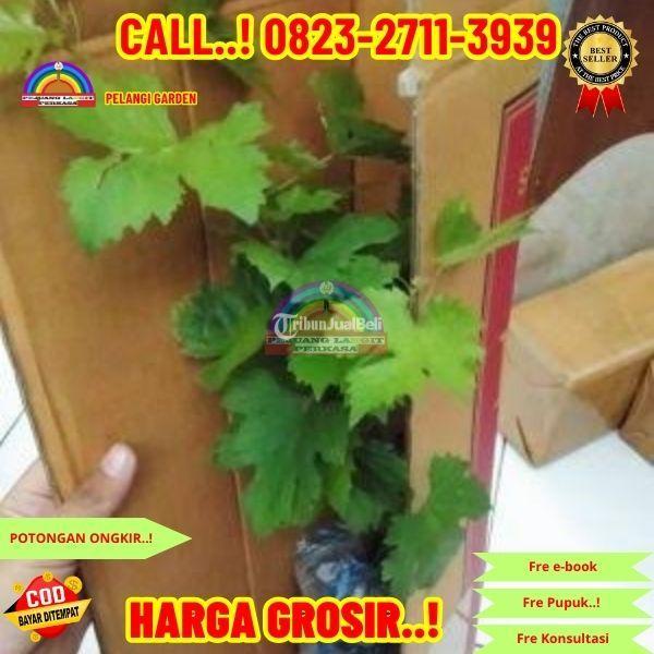 Qozoq seks porno onlayn tomosha qiling