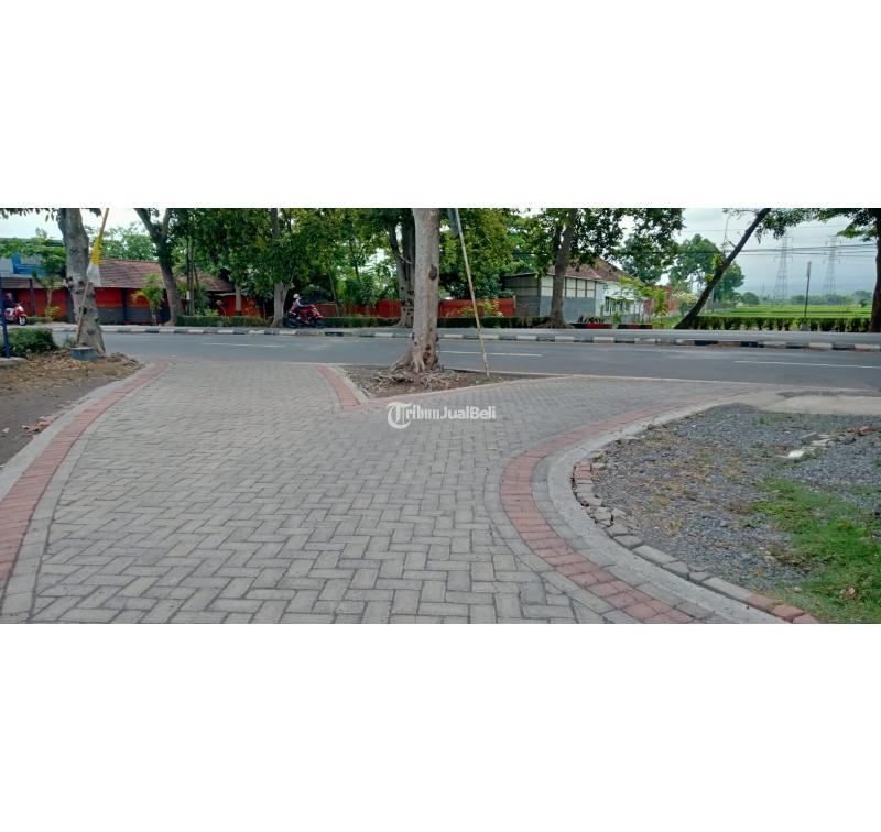 PAVING BATAKO LUMAJANG TERMURAH