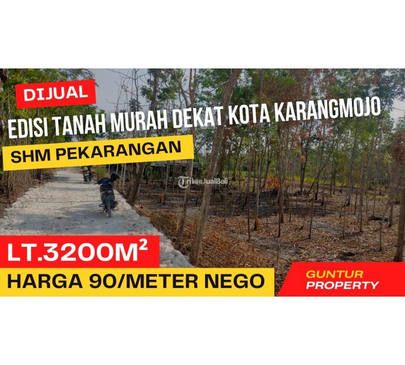 Dijual Tanah Murah Pekarangan Di Karangmojo Gunungkidul Cocok Untuk   0 203004577 Tanah Dijual Murah Pekarangan Di Karangmojo Gunungkidul Cocok Untuk Investasi 