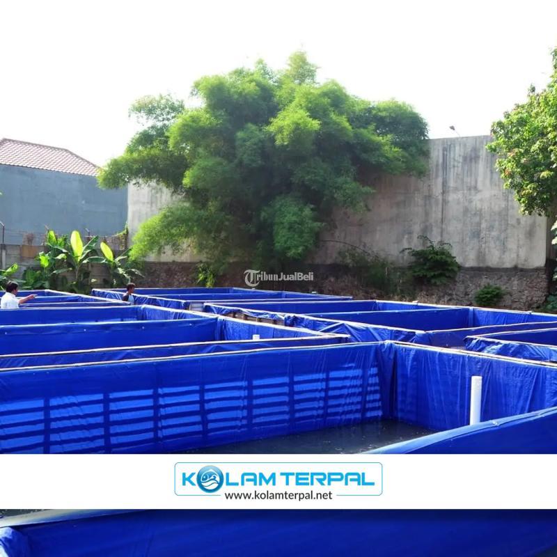 Produksi Kolam Terpal dan Peralatan Budidaya Lainnya - Kotawaringin Timur Kalteng