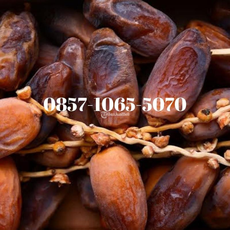 Pusat kurma palm frut sedayu Bantul Jogja