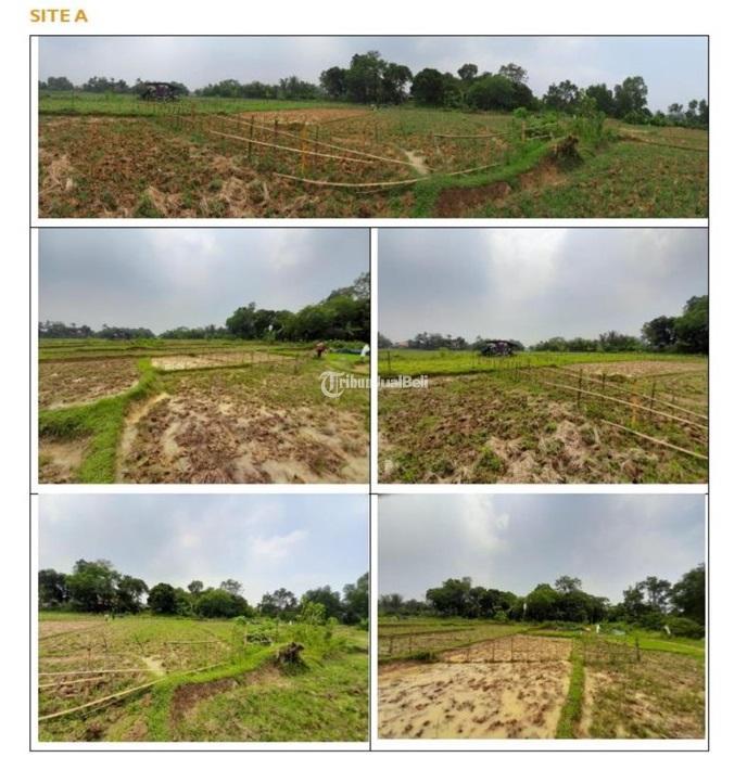 Dijual Tanpa Perantara Tanah Kavling 800m2 Di Tigaraksa - Tangerang Banten