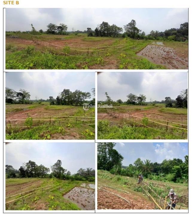 Dijual Tanpa Perantara Tanah Kavling 800m2 Di Tigaraksa - Tangerang Banten