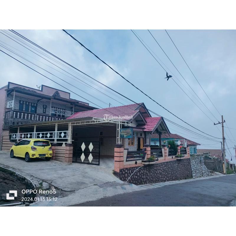 Homestay Balqis Gunung Bromo