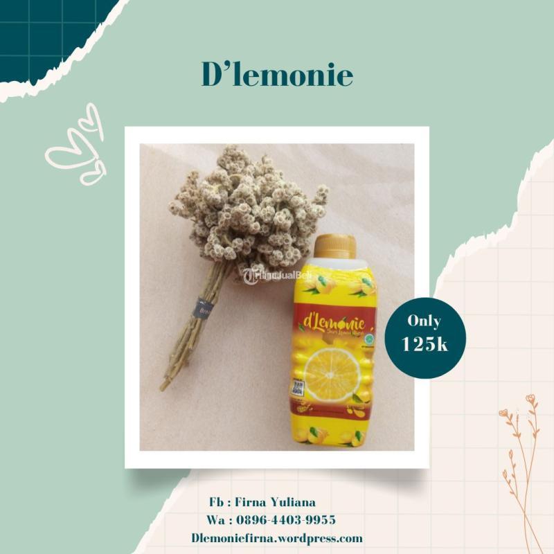Pusat Grosir Obat Herbal Pelangsing yang Aman dan Cepat DLemonie - Pekalongan Jawa Tengah