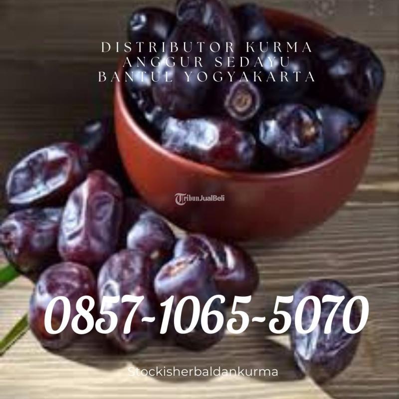 Distributor kurma anggur Sedayu Bantul Yogyakarta