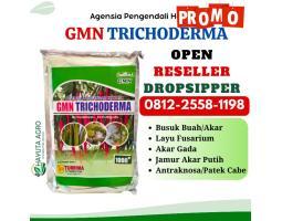 ALAMI TELP 0812-2558-1198, HARGA Obat Busuk Batang Pada Tanaman Pepaya Pesisir Selatan, AGEN Obat Busuk Batang Pada Jagung Solok, DISTRIBUTOR Obat Busuk Batang Pada Tanaman Semangka Tanah Datar