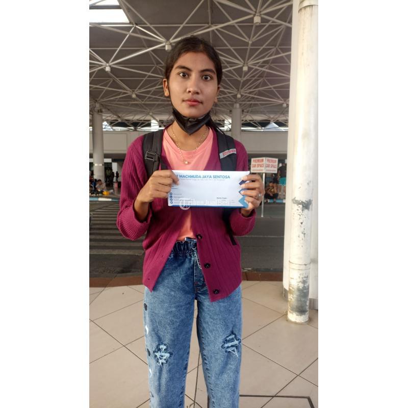 Agen ART di Pekalongan