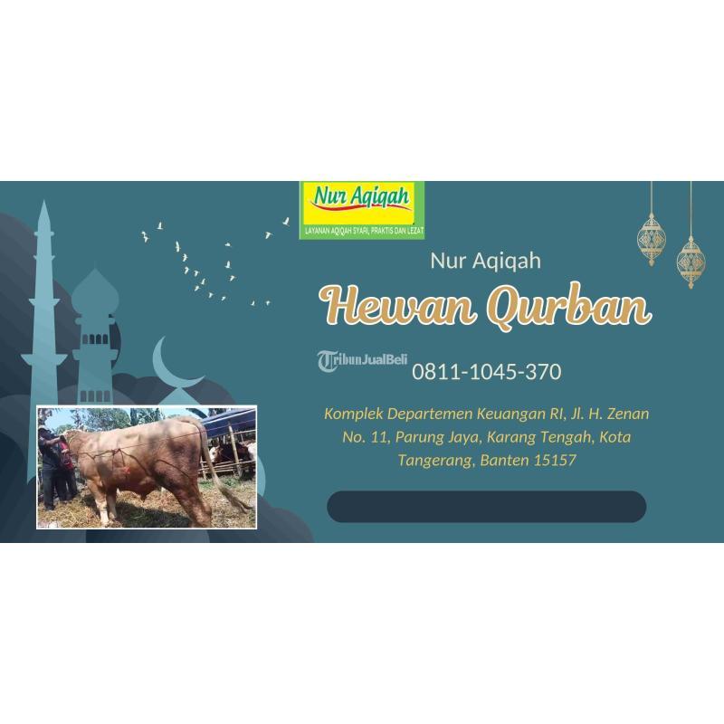 Paket Aqiqah