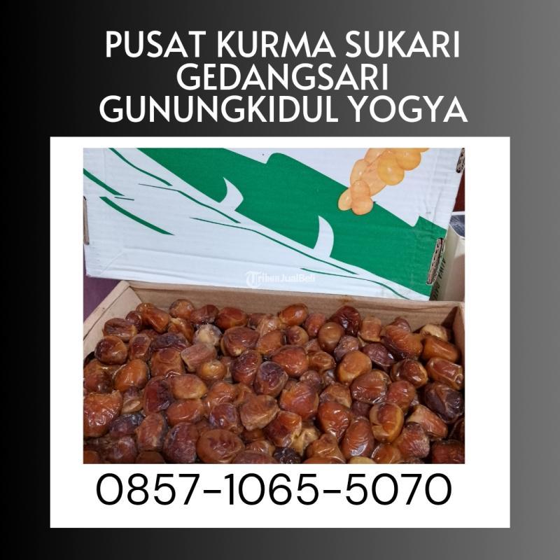Pusat kurma sukari Gedangsari Gunungkidul Yogyakarta