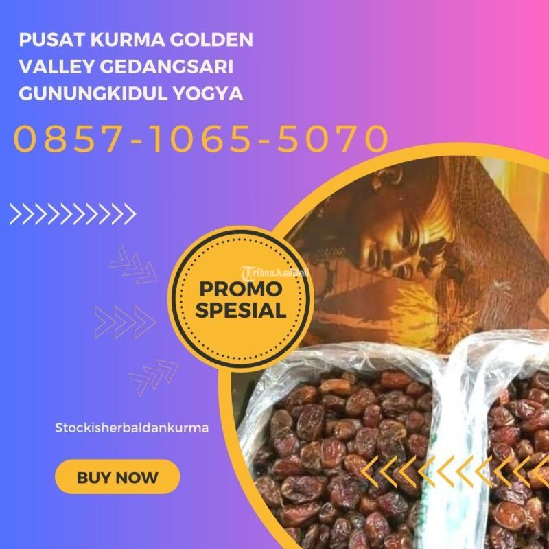 Pusat kurma golden valley Gedangsari Gunungkidul Yogyakarta