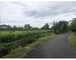 Tanah 600 m2 area Nyambu Kaba-Kaba Tabanan Bali